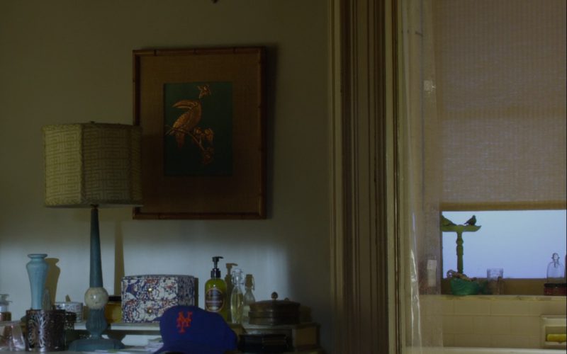 New York Giants Baseball Hat – Friends with Benefits (2011)