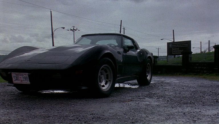 Chevrolet Corvette C3 – Bird On A Wire (1990)