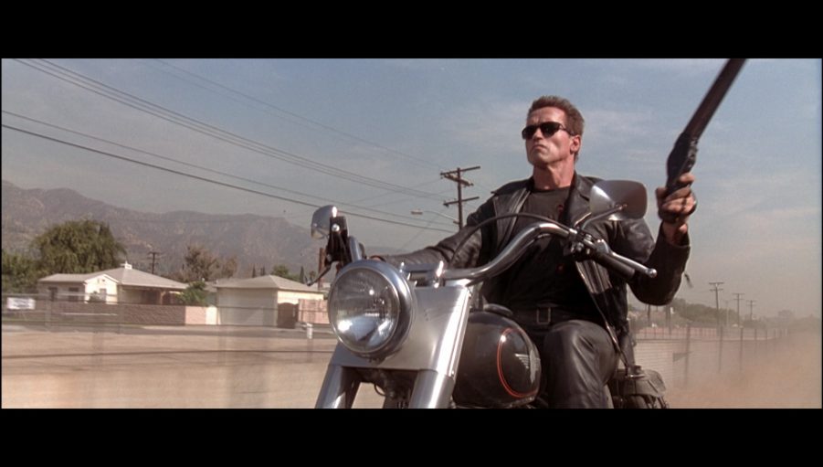 Harley-Davidson Motorcycle Driven By Arnold Schwarzenegger In ...