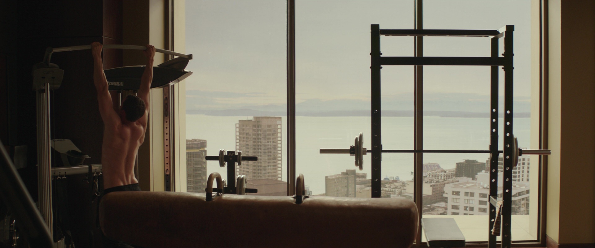 Torque Fitness Training Systems Used by James Dornan (Christian Grey) in Fi...