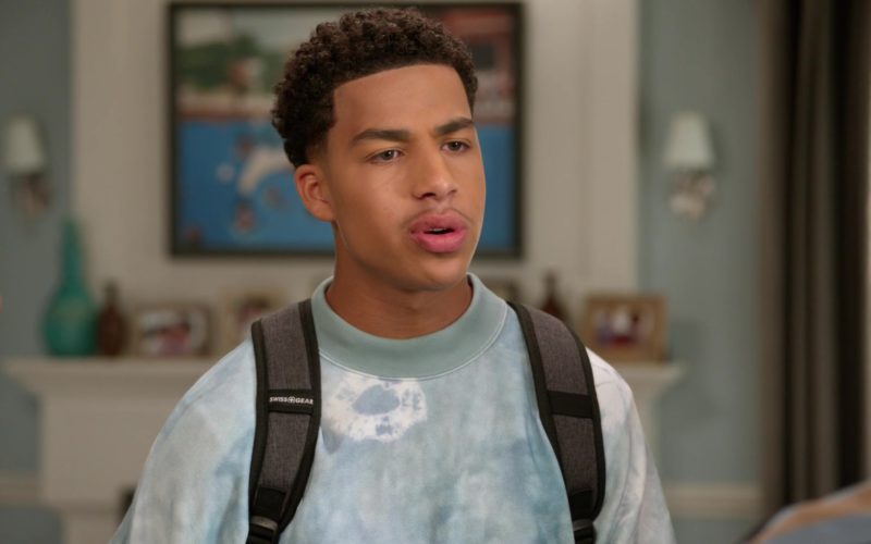 SwissGear Backpack Used by Marcus Scribner in Black-ish (1)