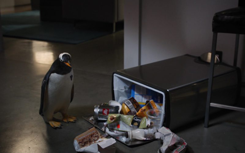 Illy and Carr’s in Mr. Popper’s Penguins