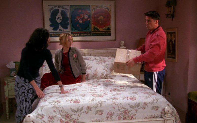 Adidas Pants Worn by Matt LeBlanc (Joey Tribbiani) in Friends Season 5 Episode 4