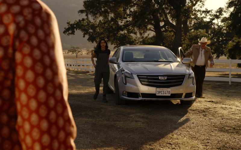 Cadillac Car in Sneaky Pete (1)
