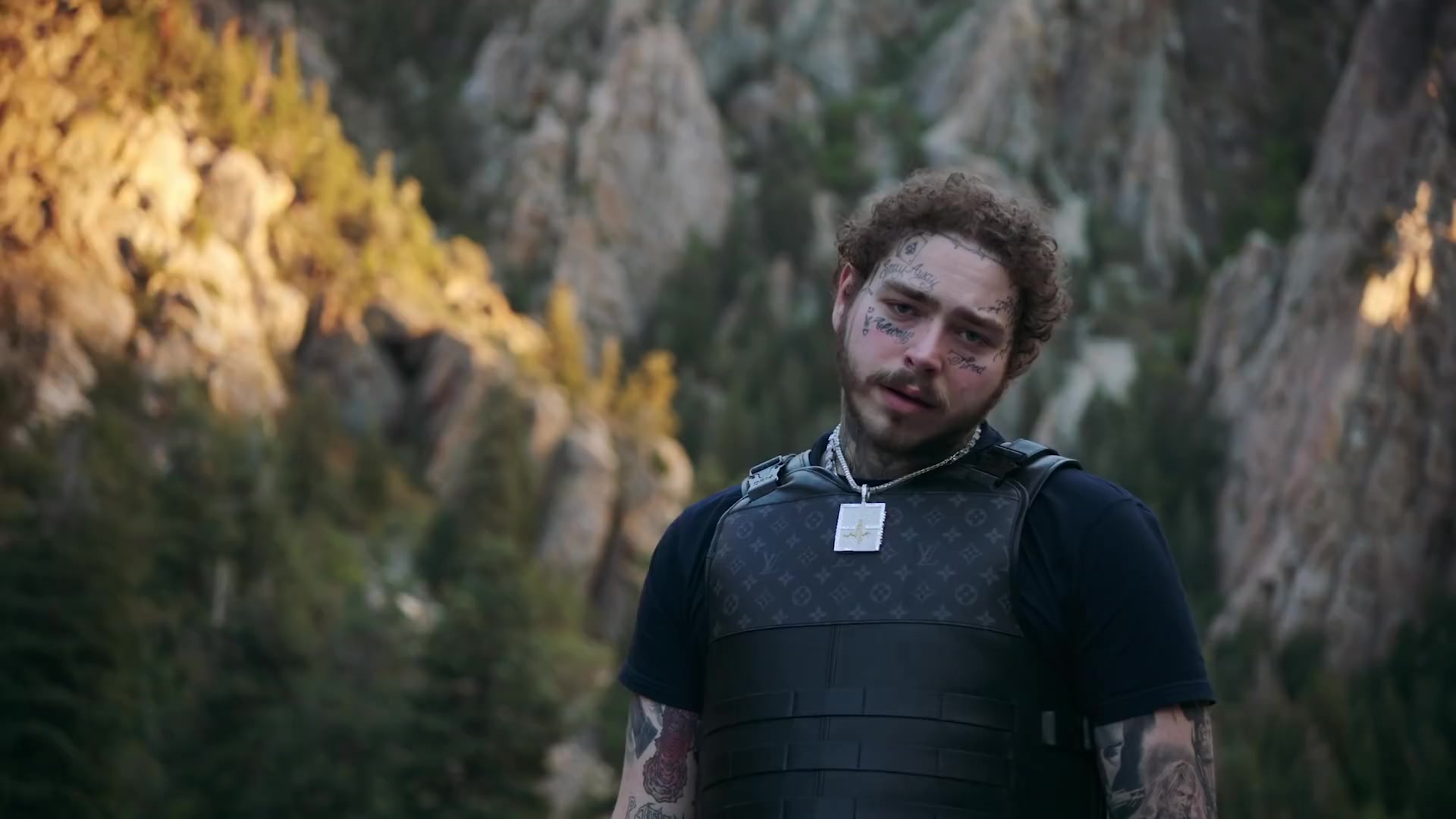 Open Source Defense on X: @jonst0kes Post Malone's plate carrier is  literally Louis Vuitton.  / X