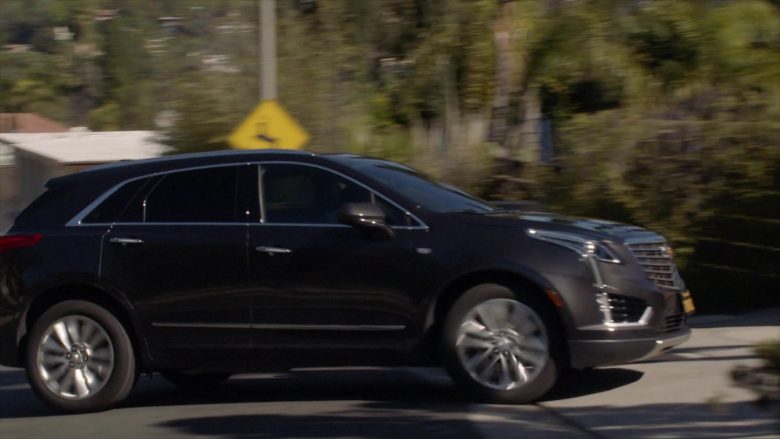 Cadillac Car Used by Maura Tierney as Helen Butler in The Affair Season 5 Episode 8 (4)