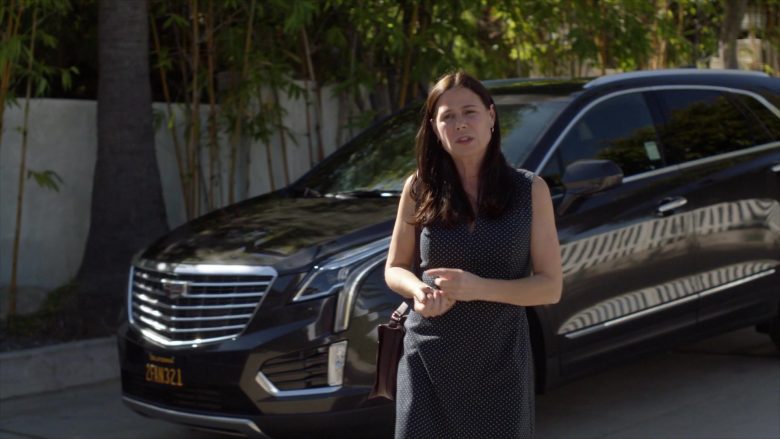 Cadillac Car Used by Maura Tierney as Helen Butler in The Affair Season 5 Episode 8 (7)