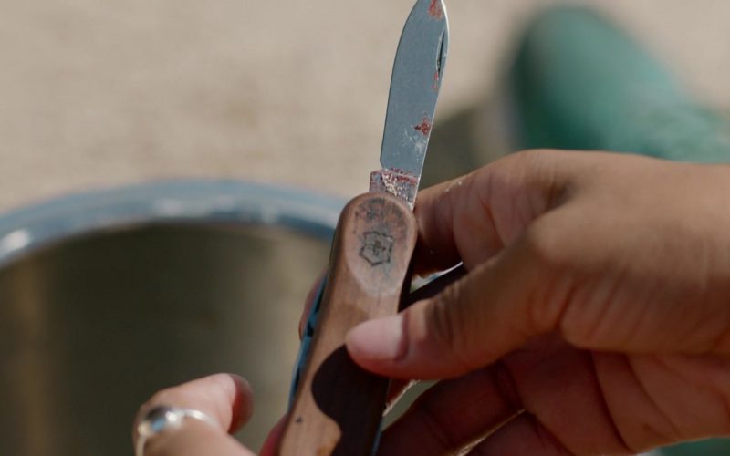 Victorinox Knife Used by Kiersey Clemons as Jenn in Sweetheart (1)
