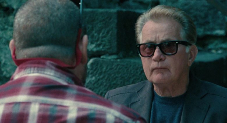 Ray-Ban Sunglasses Worn by Martin Sheen in The Way (1)