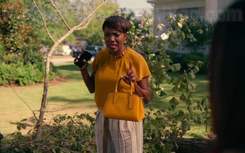 Heather Headley as Helen Decatur Using Coach Crossgrain Leather Mini Christie Carryall Bag in Sweet Magnolias TV Show (1)