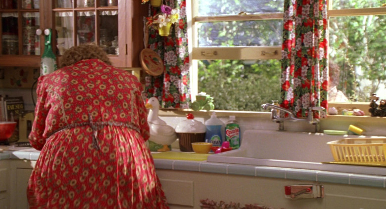 Dawn and Cascade Detergents in Big Momma’s House (2000)