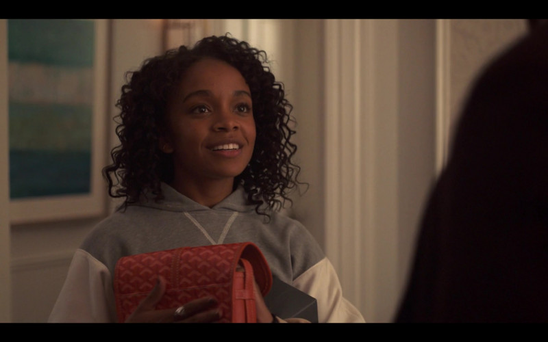 Goyard Handbag of Rachel Naomi Hilson as Mia Brooks in Love, Victor S01E04 (2)