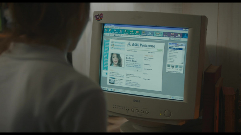 Dell Monitor and America Online (AOL) Website