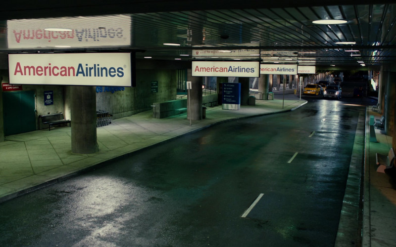 American Airlines in Jack and Jill (2011)