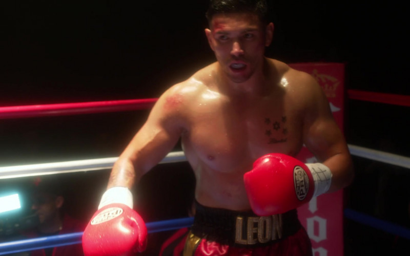 PBS Pro Boxing Gloves in L.A.'s Finest S02E07 (1)