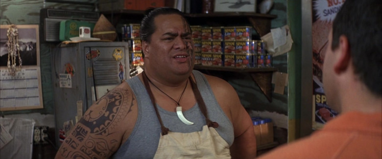 Spam Canned Pork Meat in 50 First Dates Movie (2)