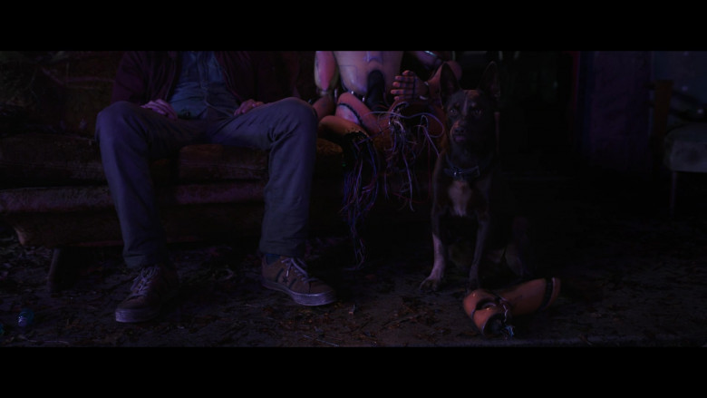 Converse Shoes of Dylan O'Brien as Joel Dawson in Love and Monsters (4)