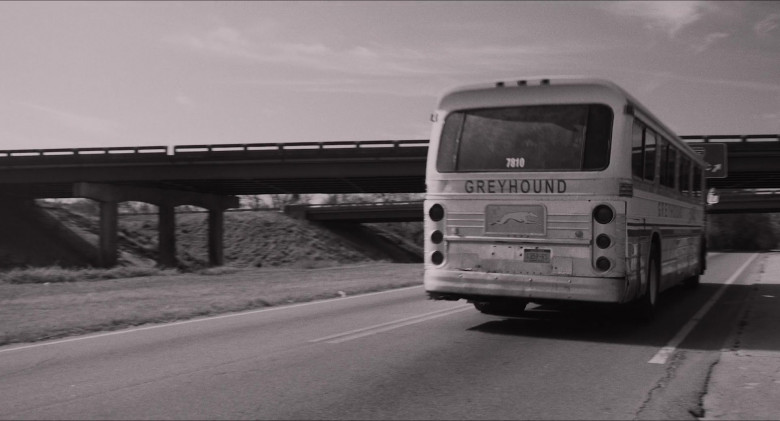 Greyhound Express Bus in The Glorias Movie (3)