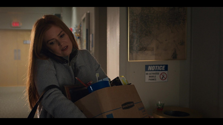 Bankers Box of Isla Fisher as Mackenzie Walsh in Godmothered (2)