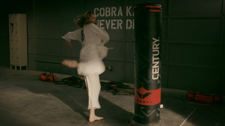 Century Punching Bag in Cobra Kai S02E09 (1)