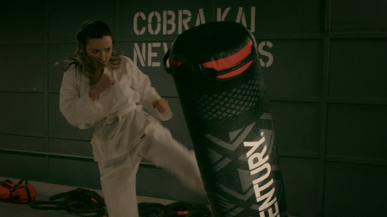 Century Punching Bag in Cobra Kai S02E09 (2)