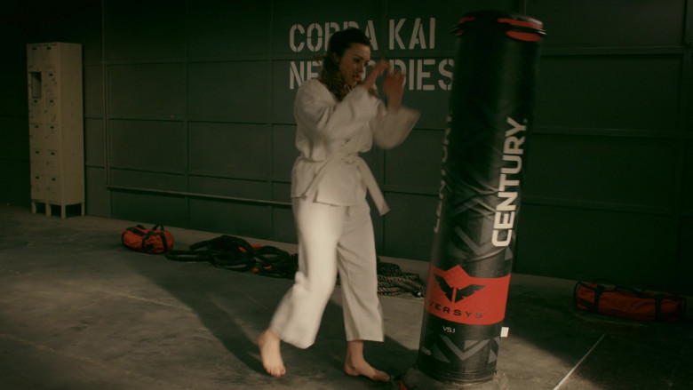 Century Punching Bag in Cobra Kai S02E09 (3)