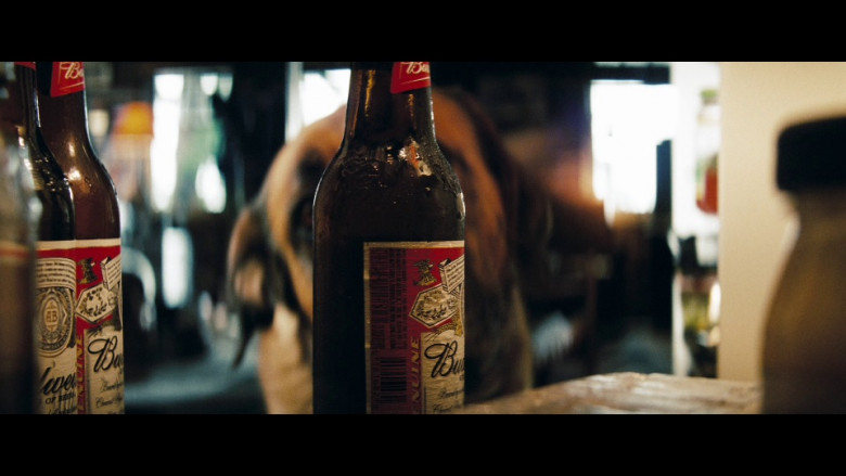 Budweiser Beer Bottles in Shooter (2007)