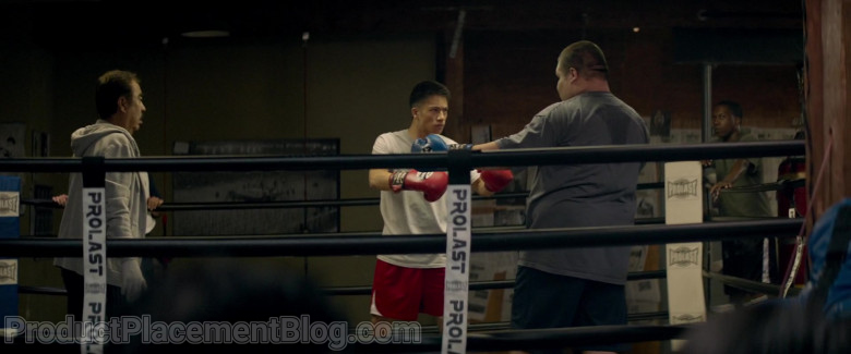 Prolast Boxing Equipment in Music 2021 Movie (5)