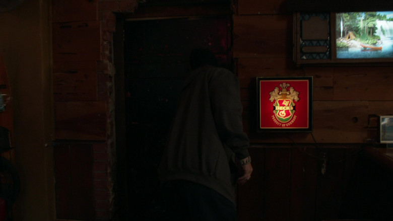 Beck's Sign in Shameless S11E07 Two at a Biker Bar, One in the Lake (2021)