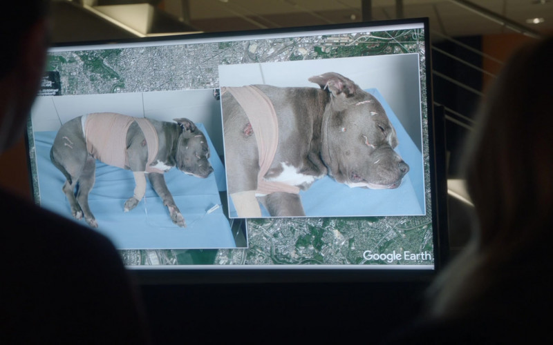 Google Earth Software in NCIS S18E10 (1)