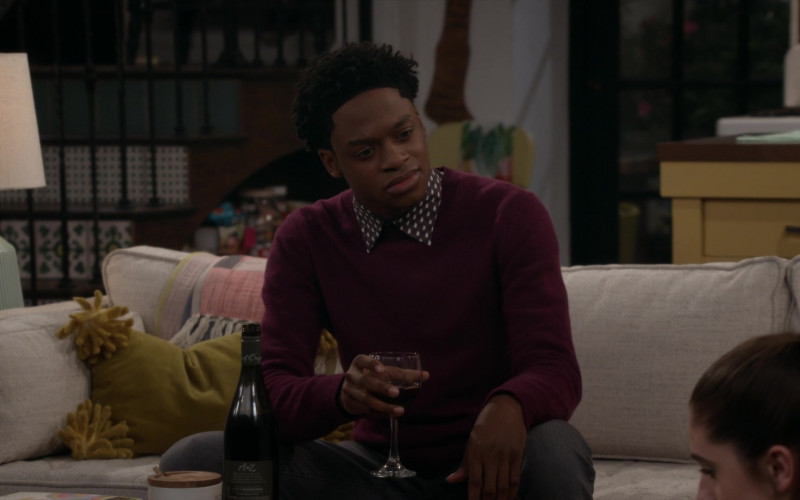 A to Z Wine Enjoyed by Austin Crute as Lane in Call Your Mother S01E11 (2)