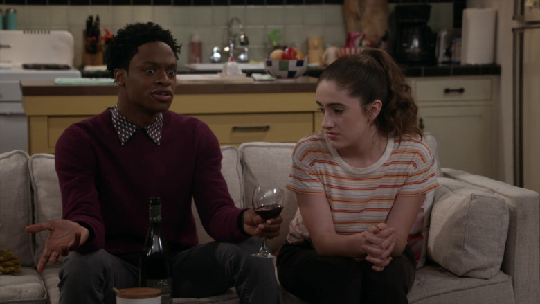 A to Z Wine Enjoyed by Austin Crute as Lane in Call Your Mother S01E11 (3)