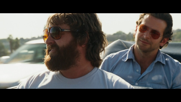 BluBlocker Demi Tortoise Nylon Sunglasses Of Zach Galifianakis As Alan ...