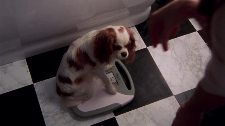 Conair Thinner Digital Scale in Sex and the City S06E18 Splat! (2004)