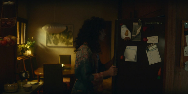 GE Refrigerator in Physical S01E02 (2)