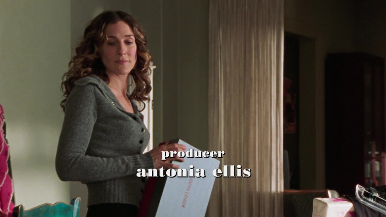 Judith Leiber Fashion Designer Box Held by Sarah Jessica Parker as Carrie Bradshaw in Sex and the City S06E19 An American Girl In Paris (Part Une) TV Show (1)