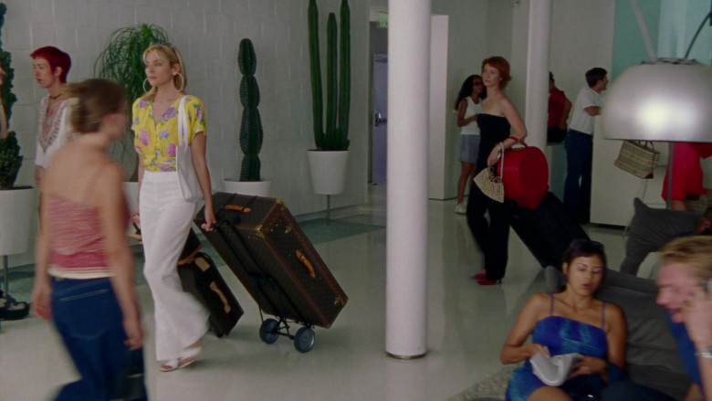 Louis  Vuitton Travel Suitcase Bags of Kim Cattrall as Samantha Jones in Sex and the City S03E14 Sex and Another City (2000)
