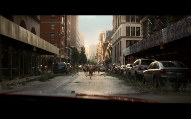Made in NY in I Am Legend (2007)