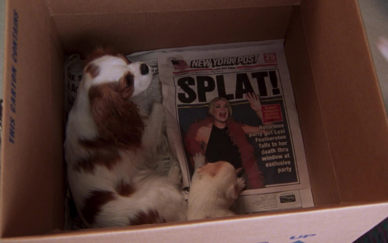 New York Post Newspaper in Sex and the City S06E18 Splat! (2004)