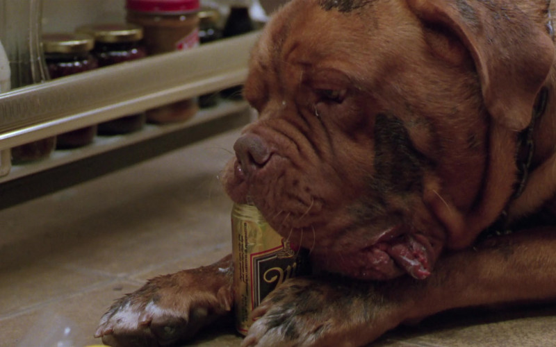 Miller Genuine Draft Beer Enjoyed by Beasley the Dog as Hooch (Dogue de Bordeaux (French mastiff)) in Turner & Hooch 1989 Movie (1)
