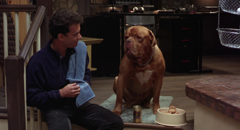 Miller Genuine Draft Beer Enjoyed by Beasley the Dog as Hooch (Dogue de Bordeaux (French mastiff)) in Turner & Hooch 1989 Movie (2)