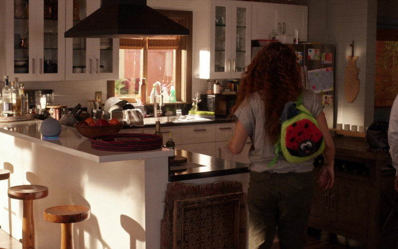 Amazon Echo Dot Smart Speaker with Alexa in Station 19 S05E05 Things We Lost in the Fire (2021)