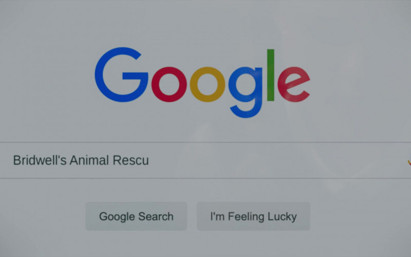 Google Website in Clifford the Big Red Dog (2021)