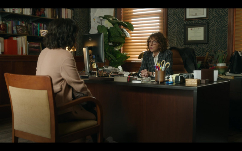 Dell Monitor in Harlem S01E08 Five Years Ago (2)