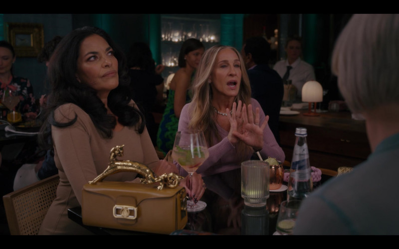 Lanvin Pencil Cat Bag of Sarita Choudhury as Seema Patel in And Just Like That… S01E07 Sex and the Widow (2022)