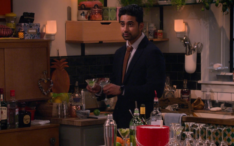 Ketel One Vodka, Jameson Whiskey, Beefeater Gin, Don Julio Tequila, Absolut Vodka, Mezan Rum in How I Met Your Father S01E04 Dirrty Thirty (2022)