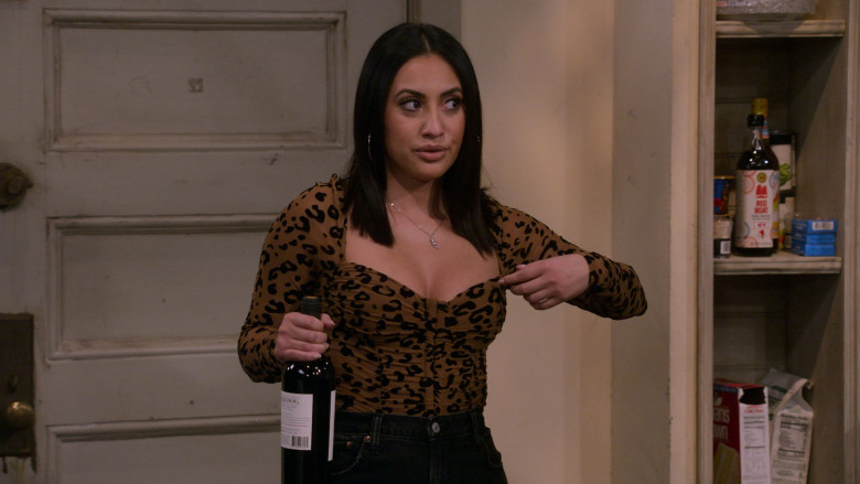 Red Boat Fish Sauce in How I Met Your Father S01E06 Stacey (2022)