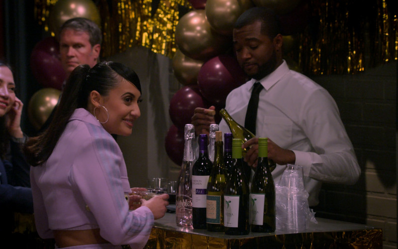 A To Z Wineworks Bubbles Sparkling Rose Oregon and Cameron Hughes Wine in How I Met Your Father S01E08 The Perfect Shot