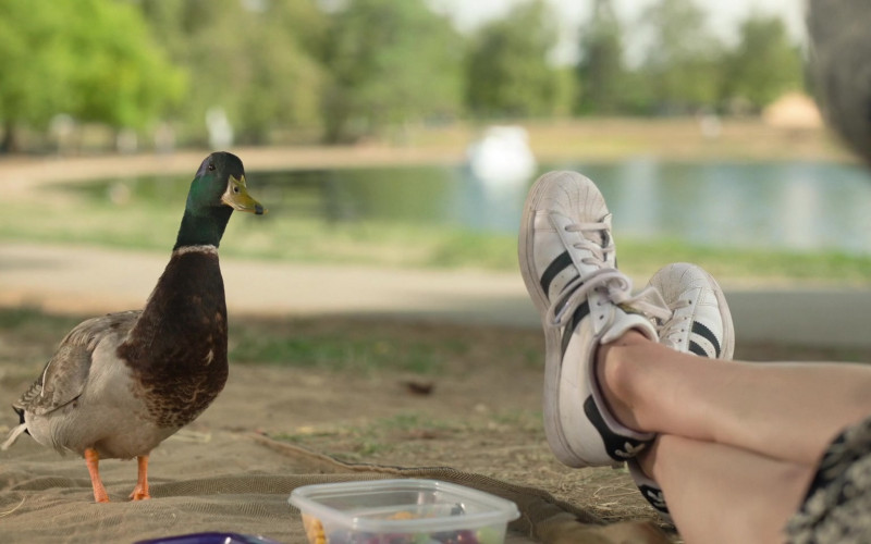 Adidas Superstar Shoes of Merritt Wever in Roar S01E05 The Woman Who Was Fed By a Duck (1)