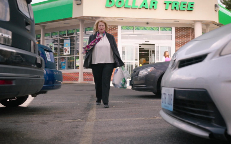 Dollar Tree Discount Store in The Thing About Pam S01E06 She’s a Killer (1)